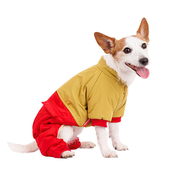 Комбинезон для собак L желтый (унисекс)