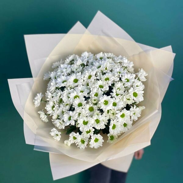 Ромашковый бум