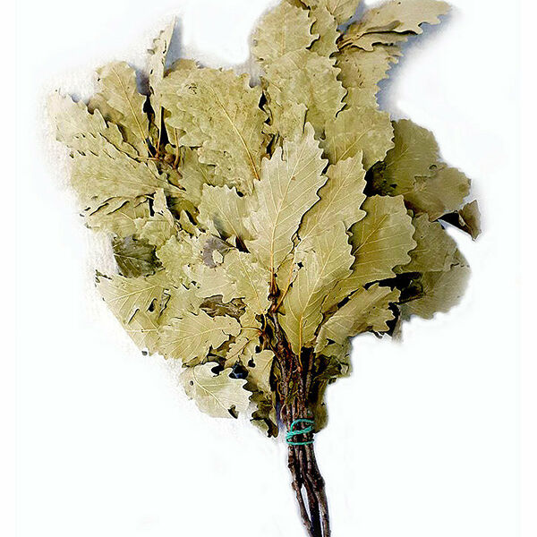 Веник OBSI Дубовый