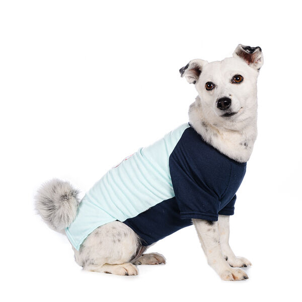 Футболка для собак 50см 3XL голубой (унисекс)