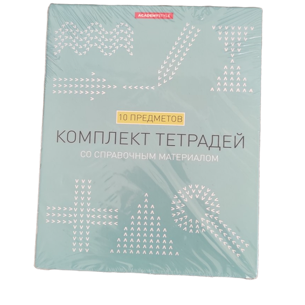 Комплект тетрадей 48 л Academy Style 10 предметов