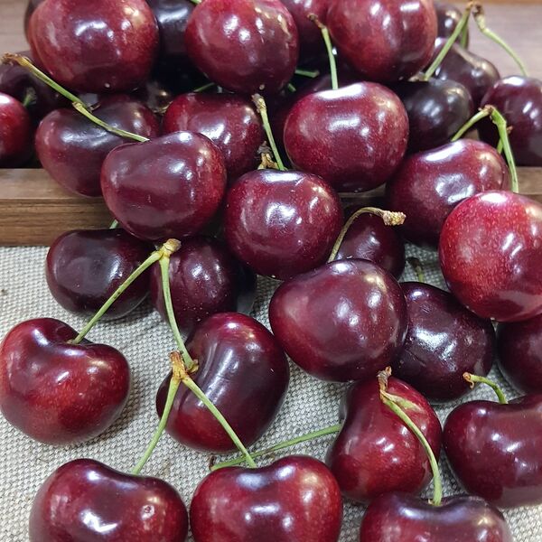 Черешня отборная (Danilovskymarket)