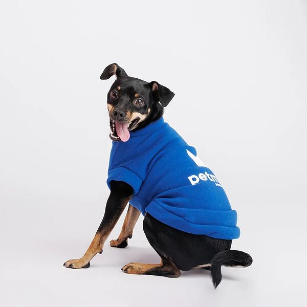 Толстовка для собак, 3XL, синяя