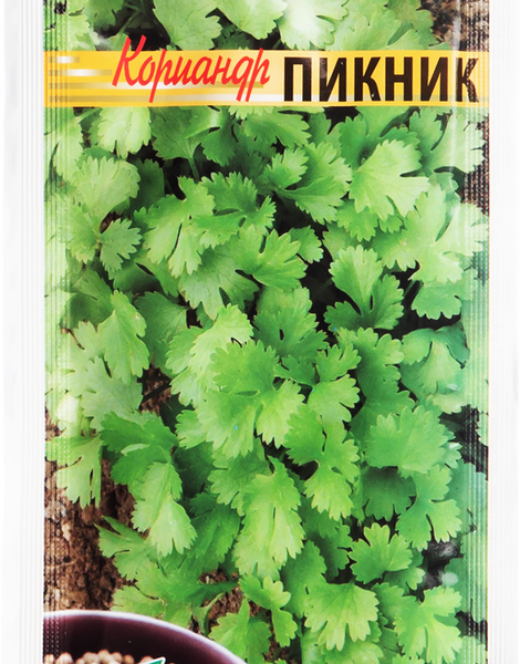 Семена Кориандр Пикник