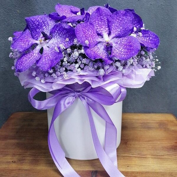 Орхидея Ванда в боксе