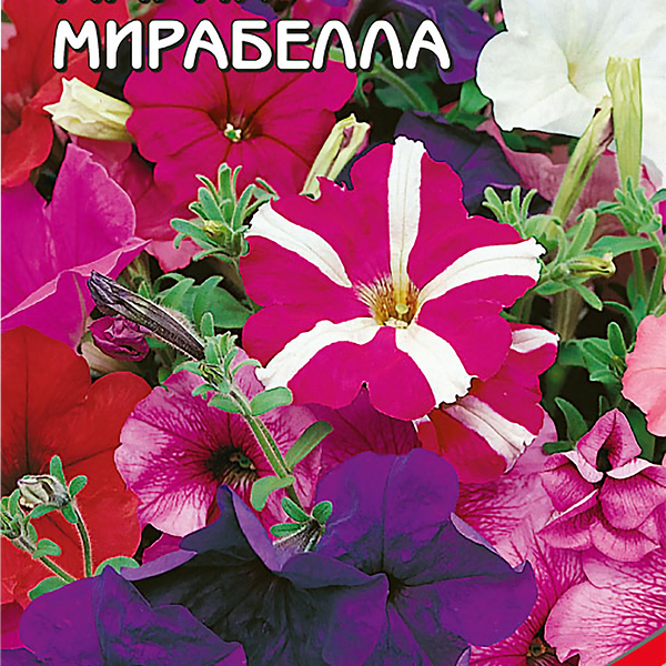 Семена ДОМ СЕМЯН Петуния Мария Мирабелла, 200шт