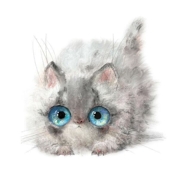 Картина на холсте Серый котенок, 40х40 см