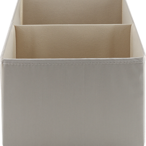 Коробка для хранения HOMECLUB SpaceCube 20х30х16см, 2 секции, полиэстер Арт. USSC-4