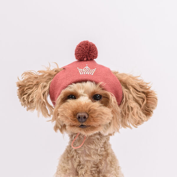 Шапка зимняя универсальная для собак, объем головы до 30 см, терракот