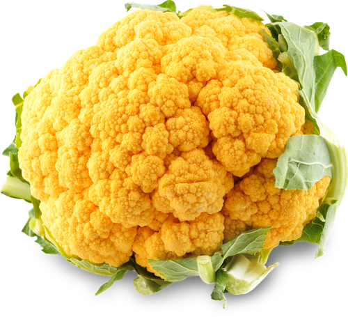 

Капуста цветная оранжевая, вес