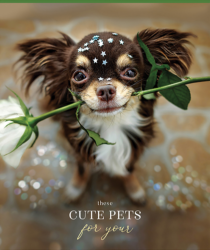 Тетрадь ARTSPACE Питомцы Sweet moment А5, 48 листов, в клетку, в ассортименте