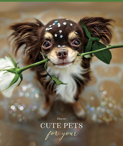 

Тетрадь ARTSPACE Питомцы Sweet moment А5, 48 листов, в клетку, в ассортименте