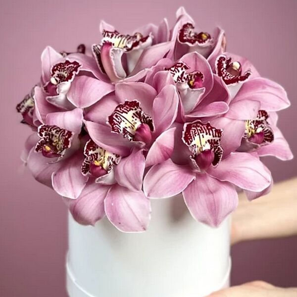 Орхидеи в шляпной коробке