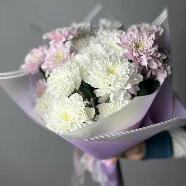 Букет из 5  кустовых хризантем микс