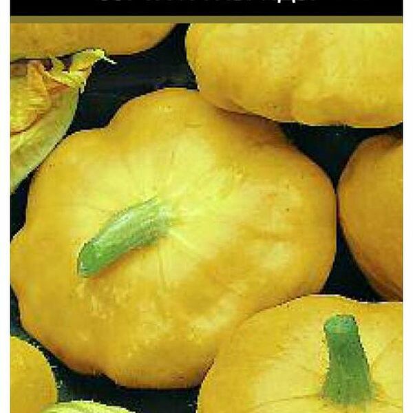 Семена патиссоны НЛО оранжевые 12 шт ТМ Поиск