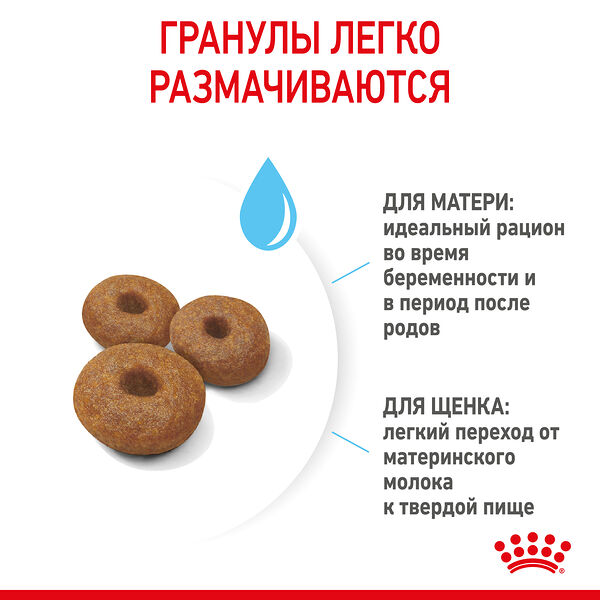 Royal Canin Maxi Starter для щенков до 2 месяцев, беременных и кормящих сук крупных пород Курица