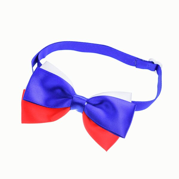 Petmax Галстук-бант флаг России