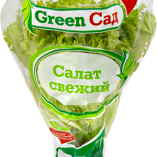 Салат Экзакт GREENСАД в горшочке