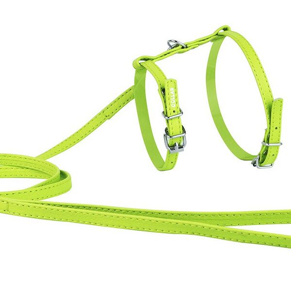 Шлея кожаная Collar Waudog Glamour с поводком ширина 12 мм зеленый