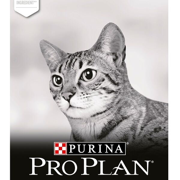 Pro Plan Delicate для кошек с чувствительным пищеварением Ягненок