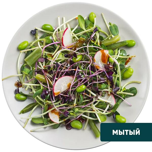 Салат Botanica Farm Смаки Микс из микрозелени-12 115г