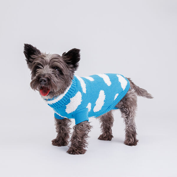 Свитер для собак, 45 см, голубой с облаками