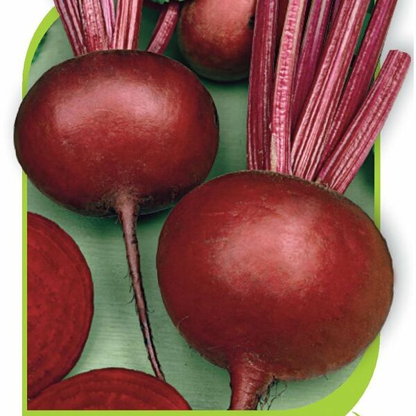 Семена свекла - игл саката ТМ Гавриш