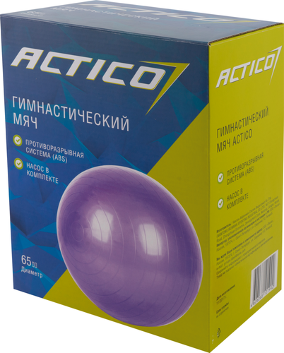 

Мяч гимнастический ACTICO с насосом d65см,1,1 кг цвет в ассортименте