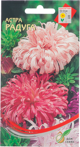 

Семена ДОМ СЕМЯН Астра Радуга