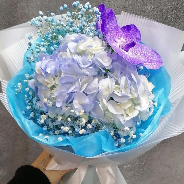 Гортензия с гипсофилой