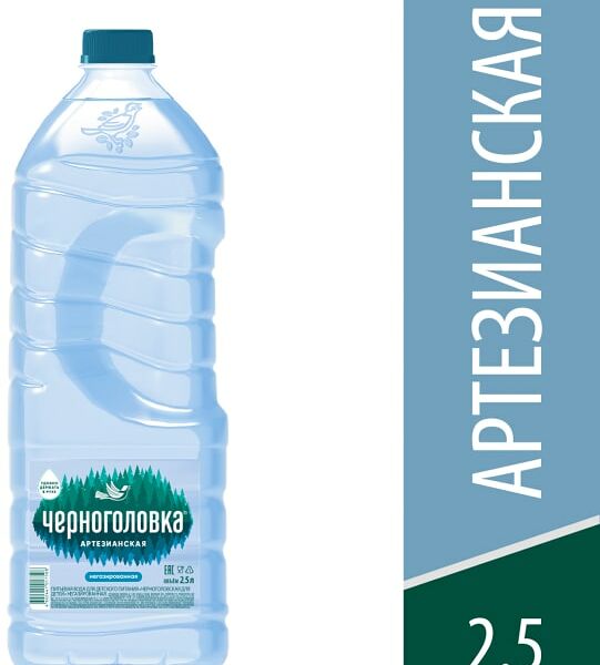 Вода Черноголовка для детского питания артезианская негазированная 2.5л