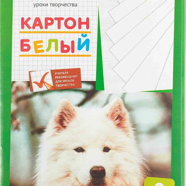 Картон мелованный ARTspace белый А4, 8 листов