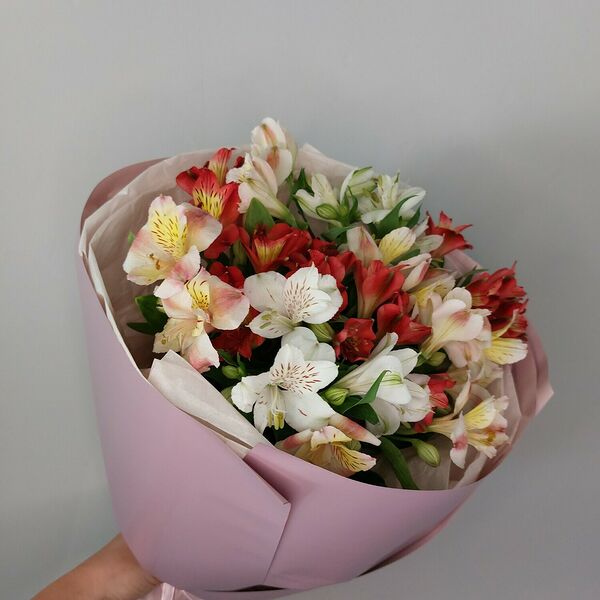 11 разноцветных альстромерий