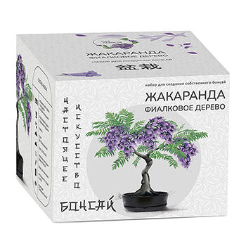Набор Сад Радости для создания бонсай Жакаранда, Россия
