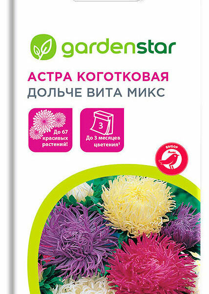 Астра коготковая Дольче Вита ТМ Garden Star (Гарден Стар)