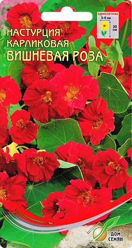 Семена Дом Семян Настурция карликовая Вишневая роза, 8 шт