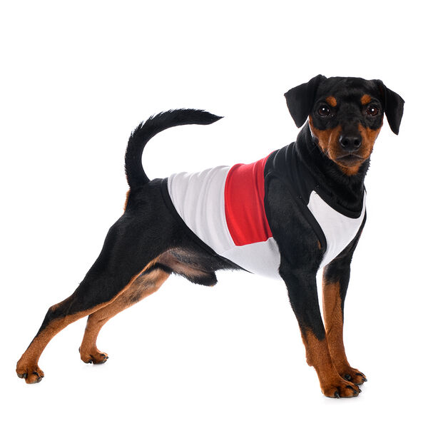 Майка для собак XL красный (унисекс)