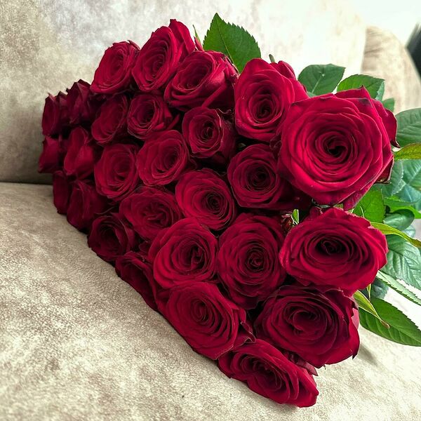 Роза ред Наоми