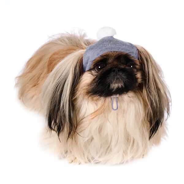 Шапочка зимняя универсальная для собак S серый (унисекс)