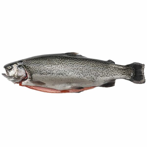 Рыба свежемороженая Форель Остров с головой вес