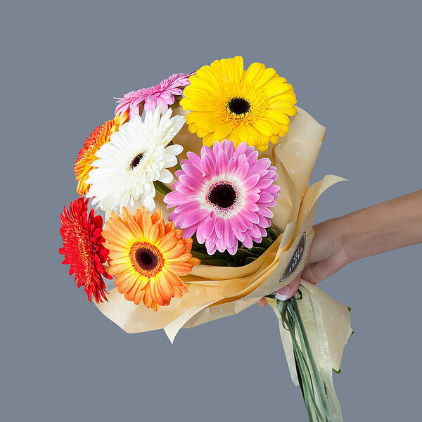 Монобукет из 7 гербер в упаковке Ирис