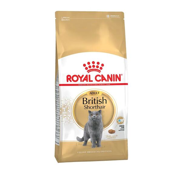 38 Adult Корм Royal Canin сухой для кошек породы Британская короткошерстная