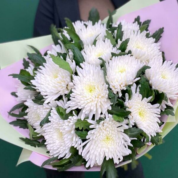 Букет цветов из 15 одноголовых хризантем