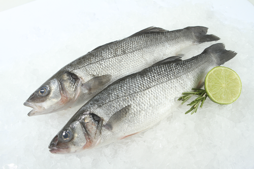 

Сибас Лента Fresh непотрошеный с головой из замороженного сырья вес