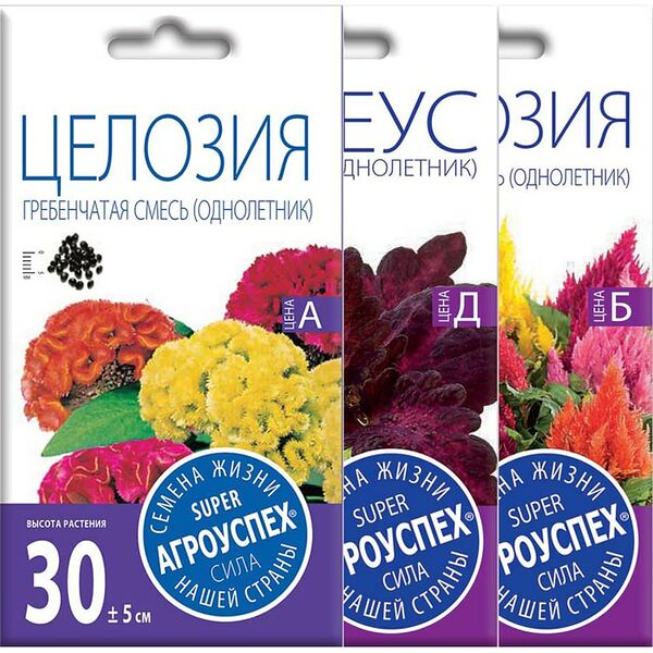 Комплект семян Агроуспех Колеус Блек Дрегон + Целозия Гребенчатая + Целозия Метельчатая 3шт