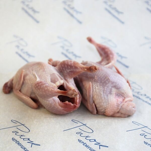 Перепелка фермерская