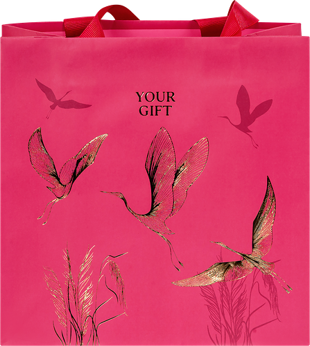 Пакет подарочный MESHU Мир журавлей, 20х20х10см, отделка фольгой, матовая ламинация