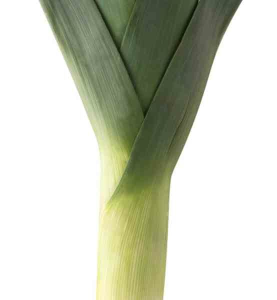 Лук-порей фасованный