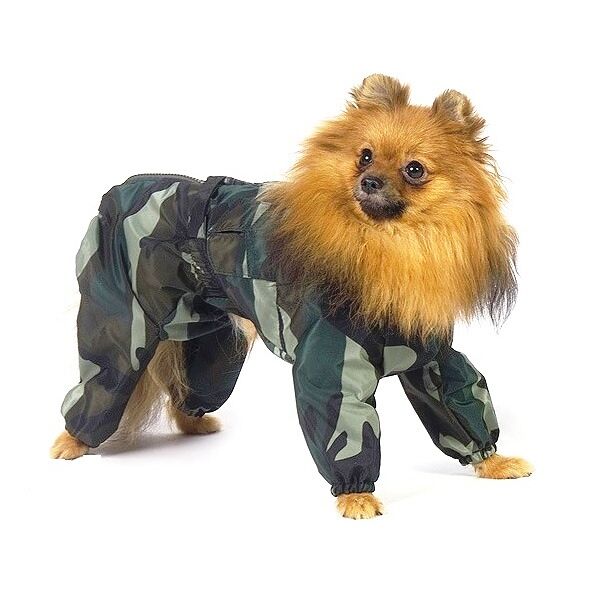 Комбинезон холодный для собак Шпиц M камуфляж (мальчик)