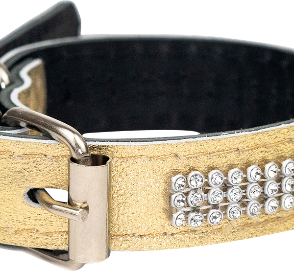 Ошейник кожаный ЛЕНТА 20мм обхват 23–33см со стразами 2х-слойный цветной